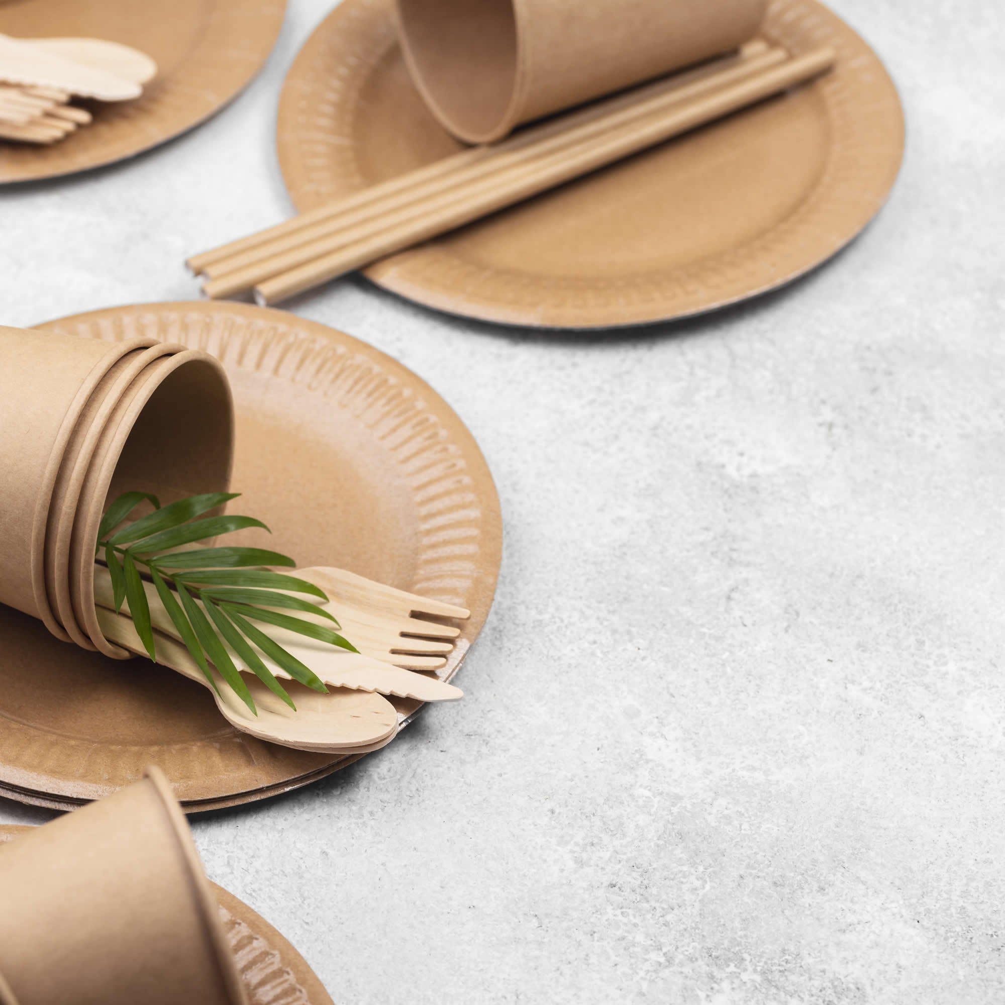 eco-friendly-disposable-paper-tableware